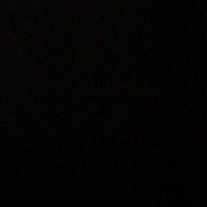 Meet your Posher, Ronald